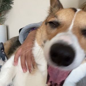 Meet your Posher, D e